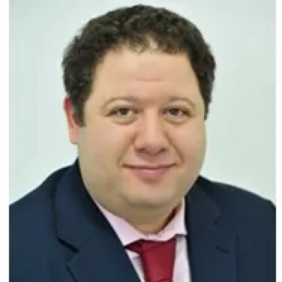Элинсон Александр Моисеевич